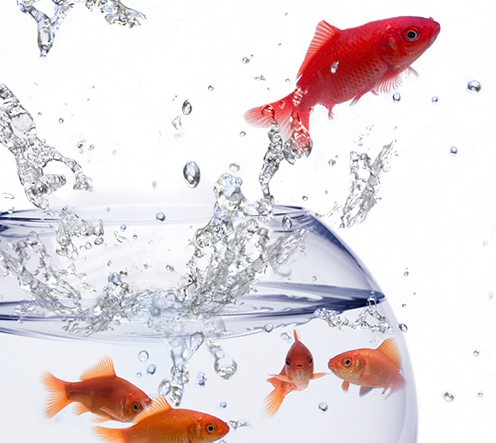 Image layer
